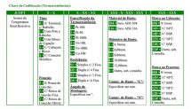 SENSOR DE TEMPERATURA SINAL RESISTIVO – MODELO JCOPT